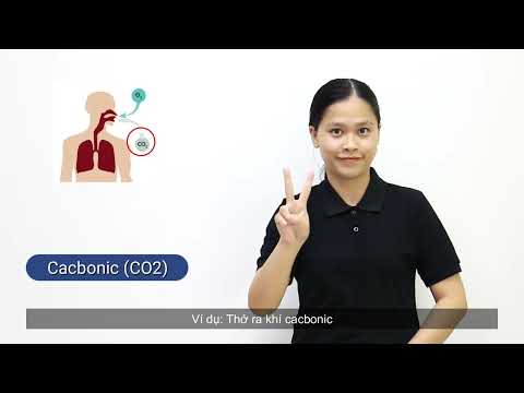 Video 20: Hít thở - Oxy (O2) - Cacbonic (CO2) - Đường hô hấp trên - Đường hô hấp dưới