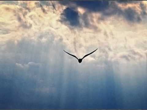 ( Rest In Peace ) Diaz-hells  - 3 dames