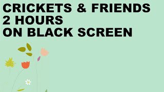 Download lagu Suara jangkrik untuk menemani tidur dengan layar hitam. (2 jam) mp3 Download lagu Suara jangkrik untuk menemani tidur dengan layar hitam. (2 jam) mp3