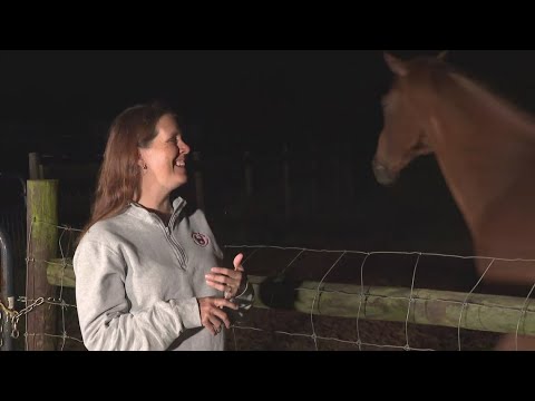 Red Dog Farm Animal Rescue jumps to action post-Helene - YouTube