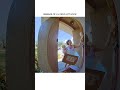 Hilarious Frog Attacks Homeowner