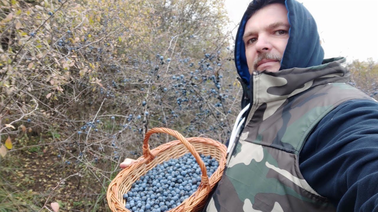 VACCIN ANTIGRIPAL NATURAL