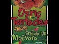 Ozric Tentacles - Pixel Dream - Live in concert