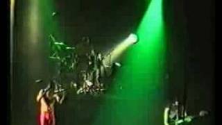 Terrorvision - Dog Chewed The Handle  (Live In Newport)