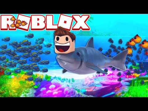 СИМУЛЯТОР РЫБЫ И МОРСКОЙ ЖИЗНИ! ROBLOX SIMULATOR