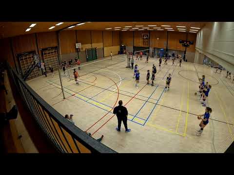 VCH DS2 - Kalinko DS3