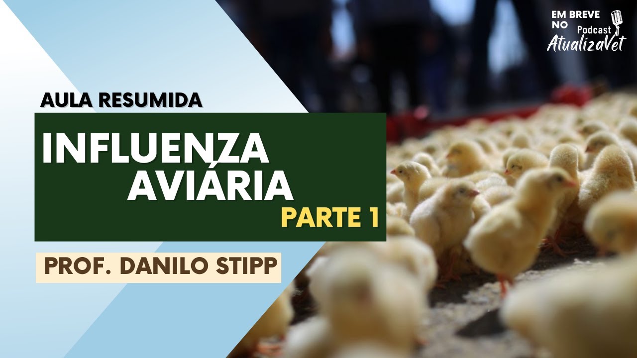 Influenza Aviária (Parte 1) - AtualizaVet