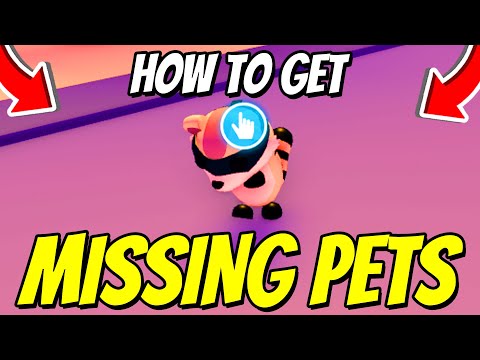 How To Find ALL MISSING PET LOCATIONS In Adopt Me! Roblox