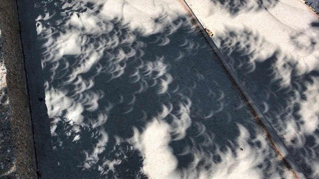 Eclipse Shadows