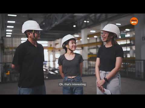 The Msog Inside Constructions