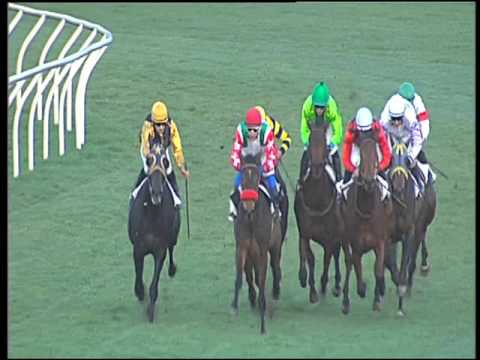 Galoppo 20/02/2016 - 6° corsa