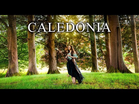 Caledonia - Leyna Robinson-Stone (Celtic instrumental)