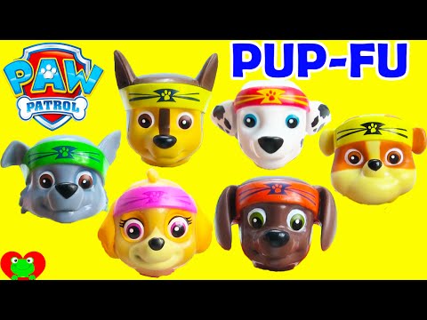 Paw Patrol Pup-Fu Hero Pups Series Video