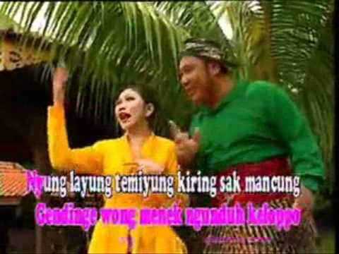 download lagu mp3 mp4 Lagu Banyuwangi Cengkir Gading, download lagu Lagu Banyuwangi Cengkir Gading gratis, unduh video klip Lagu Banyuwangi Cengkir Gading