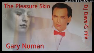 Gary Numan - The pleasure skin (DJ DaveG mix)