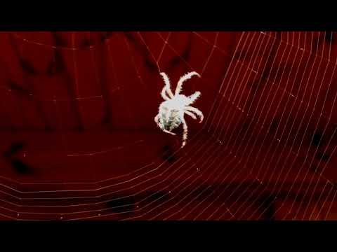 Toten x Kowi - pajęczyna (prod. Nico on the Beat)