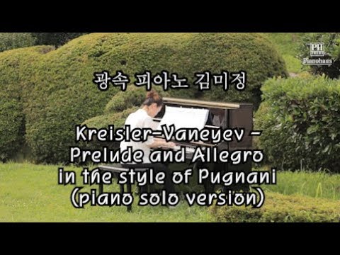 광속피아노 Kreisler-Vaneyev - Prelude and Allegro in the style of Pugnani (piano solo version)