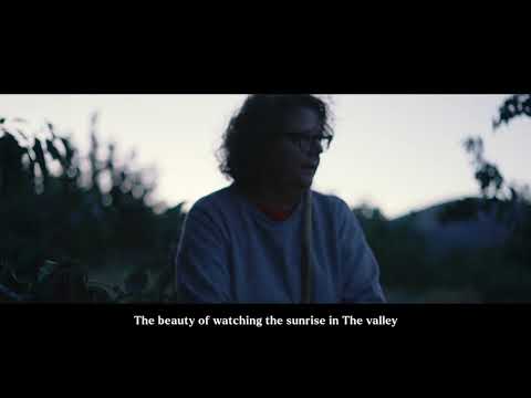 Picota Cherries from the Jerte Valley