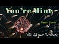 The Sound Defects / You’re Mine (Drum Cover)