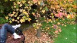 Caminar por la vida- David Civera