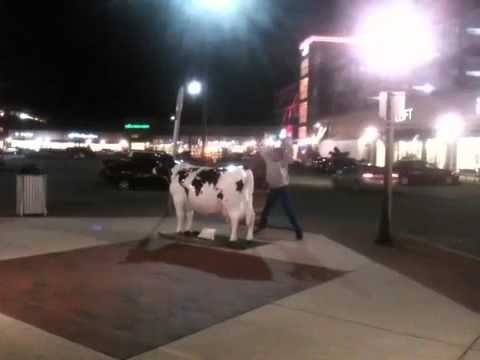 Ridin' the JP Licks cow