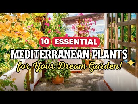 10 Essential Mediterranean Plants for Your Dream Garden! ☀️🏖️
