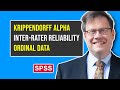 Ordinal Data Krippendorff Alpha Inter Rater Reliability Test