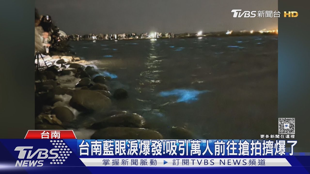 台南藍眼淚爆發! 吸引萬人夜衝搶拍擠爆了