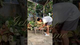 Get Ready With Me - Recycle Meja Tua dikebun 🍃 #diy #diycrafts #diyprojects #recycle #recyclemeja