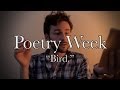 Bird A Poem By Benjamin Apple