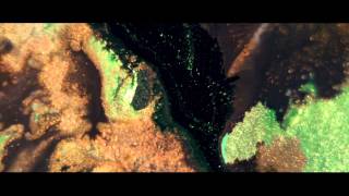 CLARA LOFARO "Born To Love You" Chris Cox Remix (Official Video)