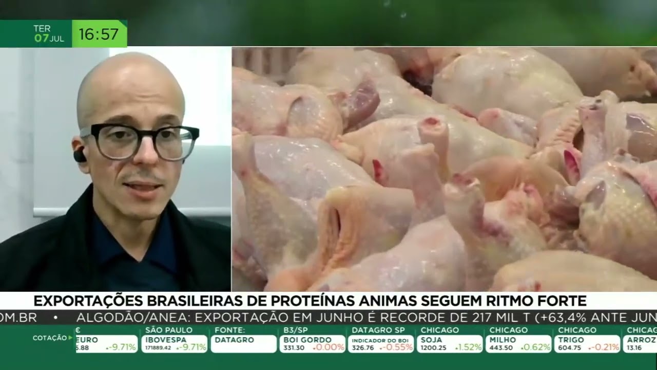 Exportações brasileiras de proteínas animais seguem ritmo forte