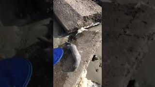 Форумы - калининградский рыболовный клуб