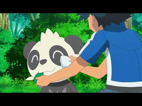 Pokemon XY Pancham Pokedex Data