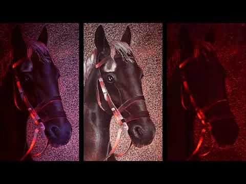 LÓFEJ AnnaElza Dragonfly HQ