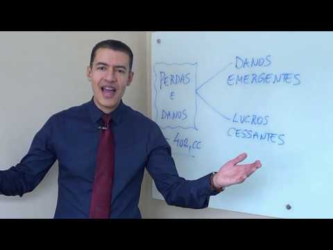PERDAS E DANOS