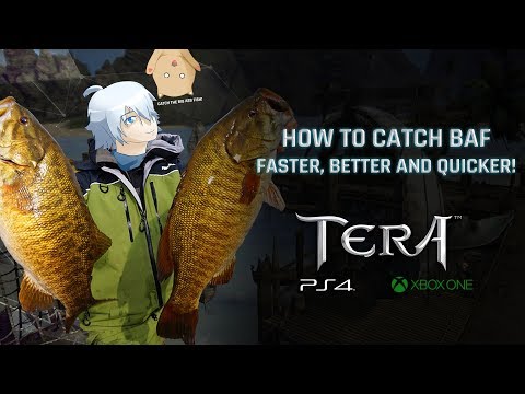 how to tera faster how to tera faster