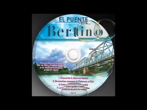 El Puente de Bertino