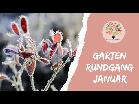 Garten im Januar: Quecke-Strategie & Winteraussaat bei Frost