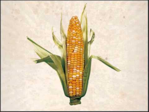 Coro de Câmara de Lisboa - "O milho da nossa terra" (1998)