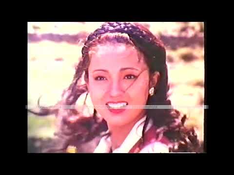 Sikhar Nepali Movie Songs | Shree Krishna Shrestha | Shyaron Sherpa| Rajendra Khadgi | Gagan Birahi - YouTube video thumbnail