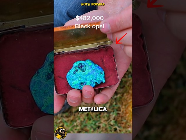 Vídeo relacionado con El opalo negro/ The Black Opal: 2 (Best Seller)