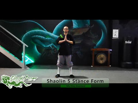 Shaolin Five Stance Form (Shaolin Wu Bu Quan) - The 1st Basic Form of Shaolin Kung Fu