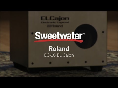 Roland / EC-10 Electronic Layered Cajon その他 オーディオ機器 家電・スマホ・カメラ 保証1年
