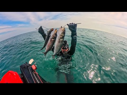 Sea bass season is open! Catch & Cook