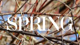 Spring - Two Door Cinema Club | Student Music Video
