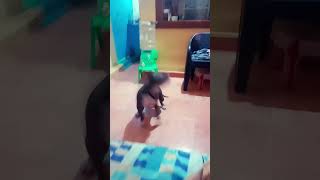 Download lagu November 3, 2025 mp3 Download lagu November 3, 2025 mp3