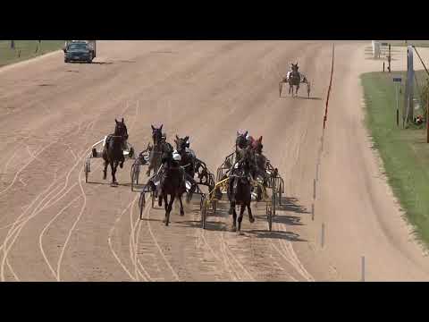 2020.08.08. 03. futam - HÓKÁS DÍJ I. RÉSZ