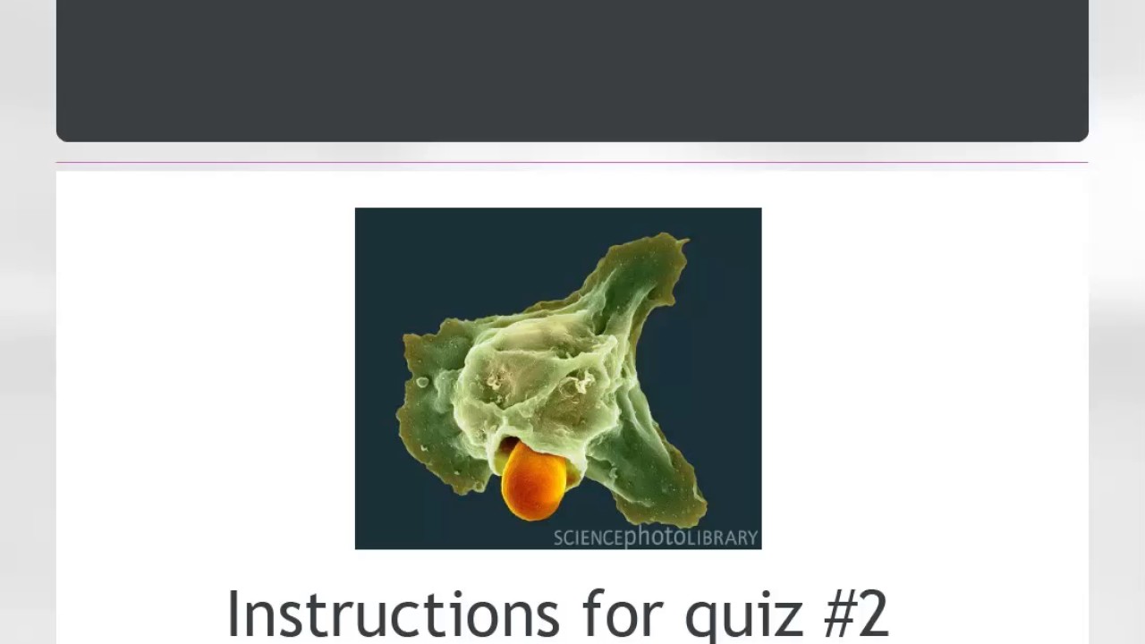 Quiz 2 - Instructions