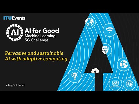 Pervasive and Sustainable AI with Adaptive Computing